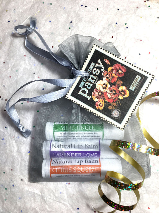 Natural Lip Balm Gift Set
